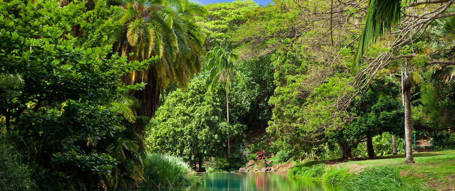 The Majestic North Shore of Kauai