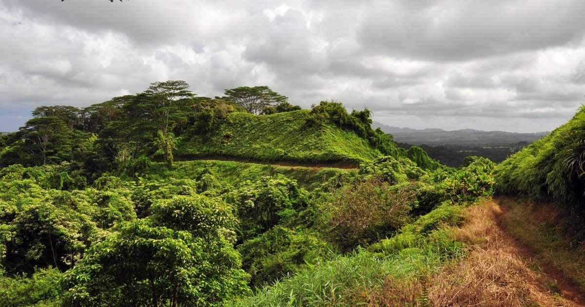 Off the Beaten Path: Nature Walks on Kauai