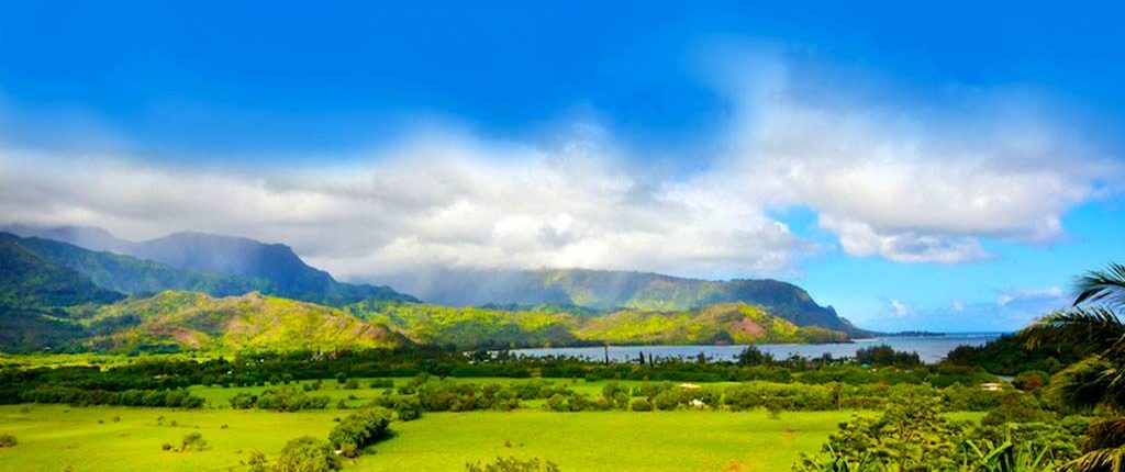 Hanalei View