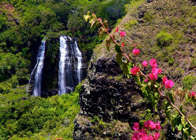 Opaekaa Falls can be viewed from the side of the road in Wailua