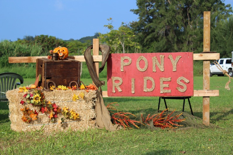 Pony Rides