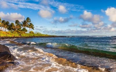 Soak in the Sunshine Exploring the South Shore of Kauai