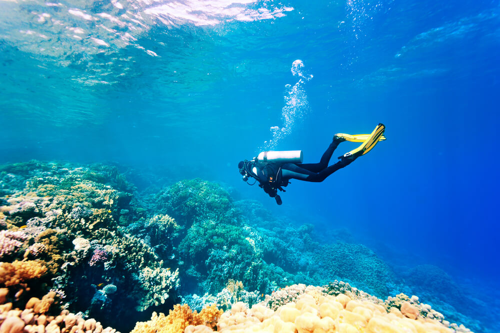 A person scuba diving in Kauai.