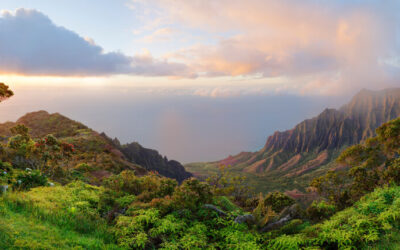 Take In Breathtaking Views from a Kauai Lookout