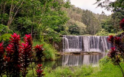Off the Beaten Path | Discover Hidden Gems on Kauai